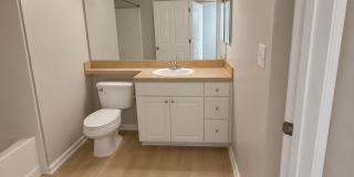 9825 Baywinds Drive Gallery 13