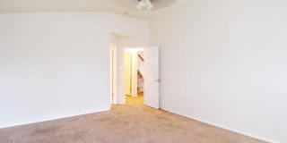 7326 Tamburo Gallery 24