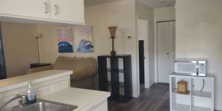 943 SE Mayo Dr Gallery 6