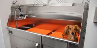 Avalon Yonkers Gallery 30