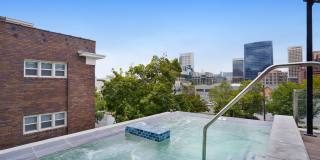 Lotus Cityline Gallery 28