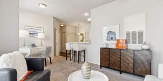 Vista Lake Ned Gallery 35