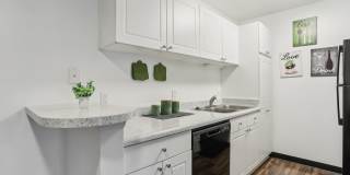 Millennium at Creve Coeur Gallery 18