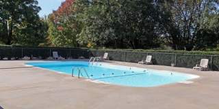 Forest Ridge Gallery 4