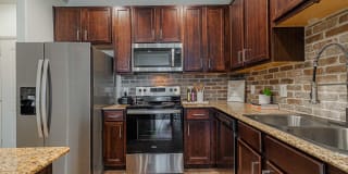 Auxo at Memorial Gallery 2