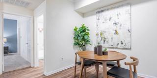 Avana Soco Gallery 16