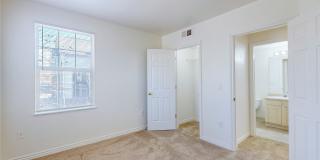 Tiburon Gallery 10