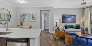 Serafina Luxury Apartments Gallery 17