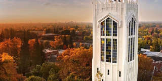 Pacific Commons Gallery 14