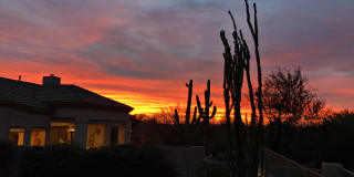 6894 E THIRSTY CACTUS Lane Gallery 55