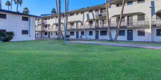 Lumina on 19th Gallery 19