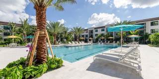 Mosaic Palms Gallery 27