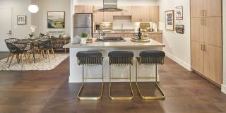 Latitude 37 Gallery 7