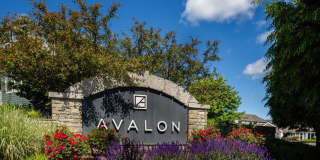 Avalon Westbury Gallery 41