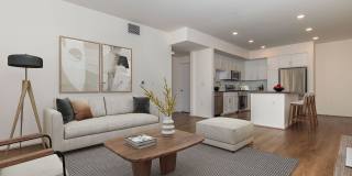 Vineyards Gallery 181