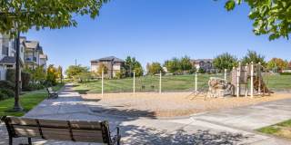 Sofi at Cedar Mill Gallery 42