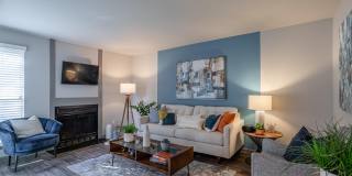 The Everly Gallery 1