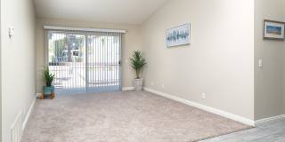 Forest Glen Gallery 29