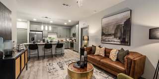 The Aston at Town Center Gallery 19