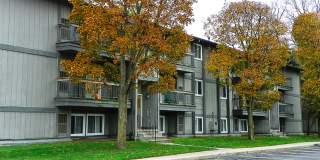 Pine Lake Apartments Gallery 19