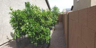 Fully Furnished/Unfurnished/Short Term/Long Term/ Vacation Rental Options Gallery 11