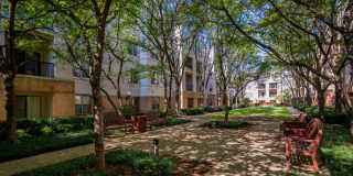 Strathmore Court At White Flint Gallery 17