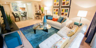 Lake Towers Apartments Gallery 1