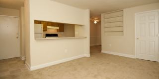 Wellington Woods Gallery 5