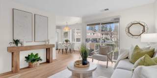 337 Chris Cmn APT 111 Gallery 1