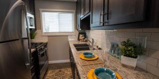 Driftwood Village Gallery 3