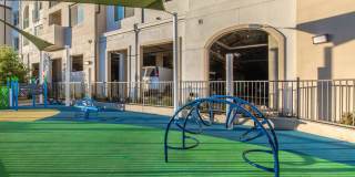 Vineyards Gallery 21