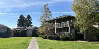 Native Sun Gallery 17