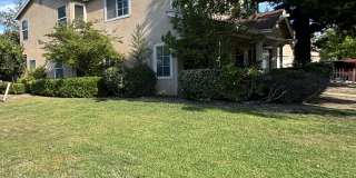 4101 Rose Parade Gallery 4