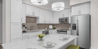 Camden Carolinian Gallery 1