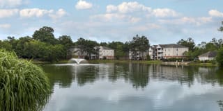 Southaven Pointe Gallery 27