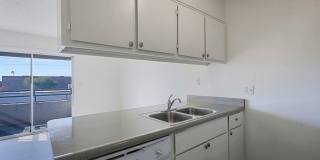 Paloma Village Gallery 10