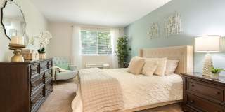 Regency Park Gallery 11