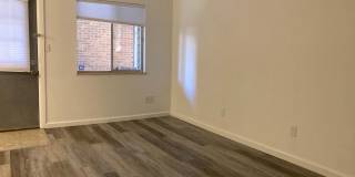 Recently Renovated 1BR! Lovely Kitchen, Bathroom! (Madison) Gallery 4