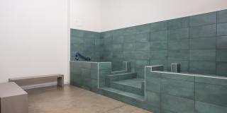 Starling Gallery 38