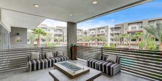 Keller Cactus Hills Gallery 21