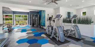 Elevate 155 Gallery 15