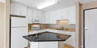 Sterling Ponds Gallery 7