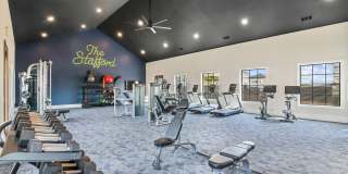 The Stafford Gallery 2