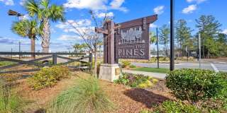 4 bedroom, 2.5 bathroom 2-story home at The Pines at New Hampstead!! July 2026 Gallery 14