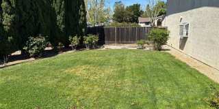 Spacious 4 bed/2.5 bath home in San Ramon Gallery 23