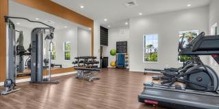 Ravinia St. Lucie Gallery 41