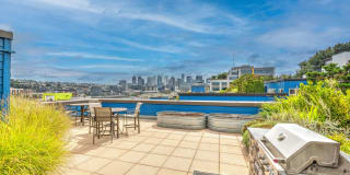 Dexter Lake Union Gallery 56