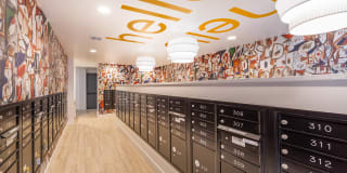 Vita Apartment Homes Gallery 53