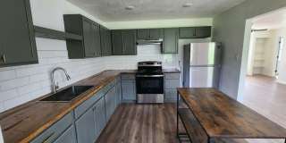Beautifully Remodeled 3 Bed / 2 Bath Home with Large Backyard Gallery 9