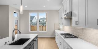 Beautiful 4 Bedroom + Office Home with Open Layout, Gourmet Kitchen & Large Entertainment Room Gallery 5